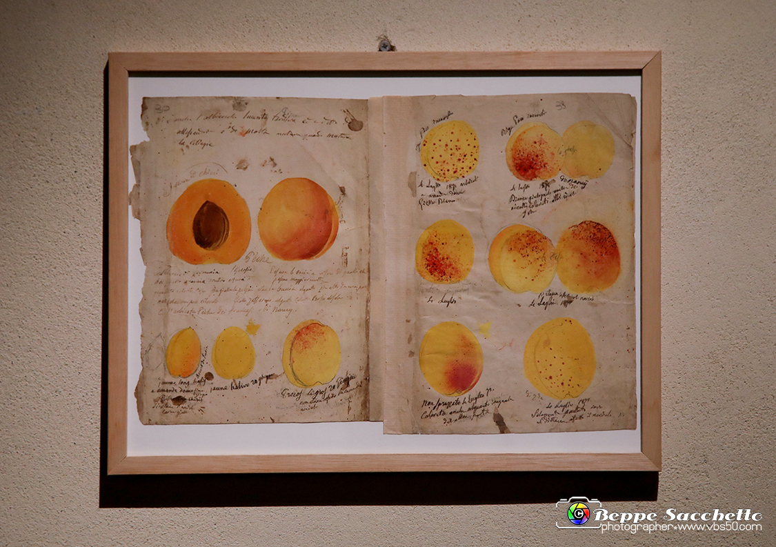 VBS_1398 - Castello di Miradolo - Mostra Oltre il giardino l'Abbecedario di paolo Pejrone.jpg